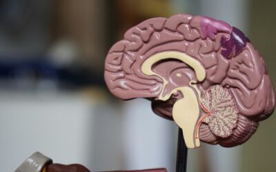 How Can Transcranial Magnetic Stimulation (TMS) Aid in Treating Addiction?