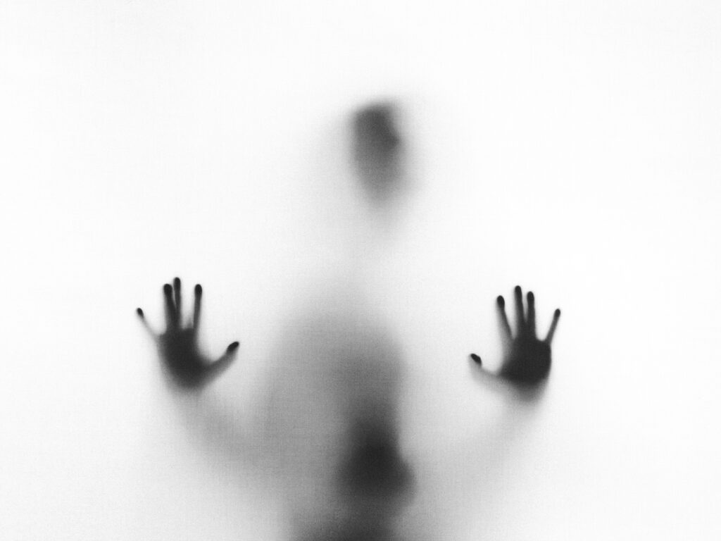 stefano pollio ZC0EbdLC8G0 unsplash 1