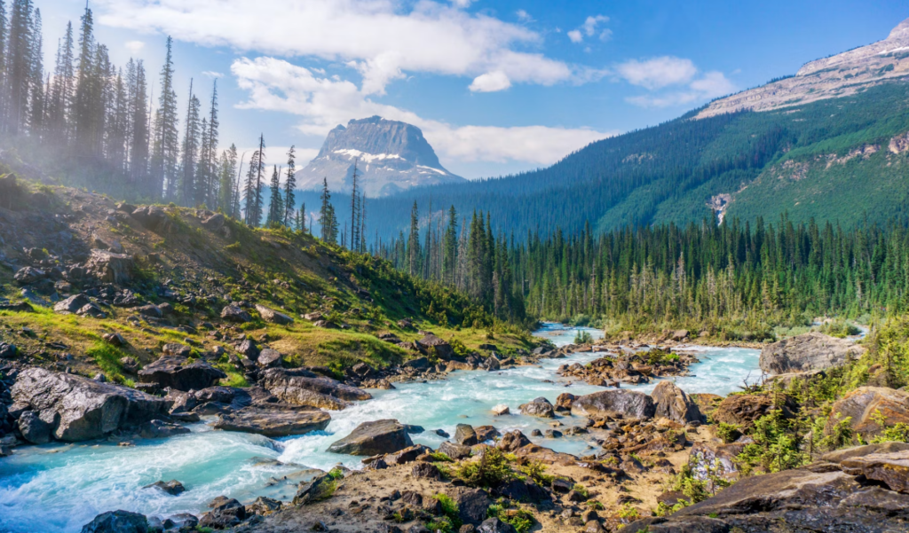 wilderness therapy