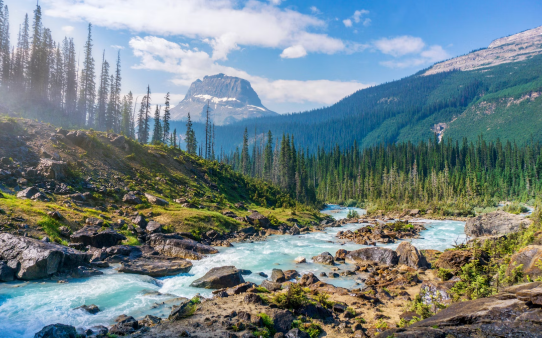 wilderness therapy