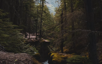 Where Traditional Therapy Falls Short, Wilderness Therapy Opens New Doors